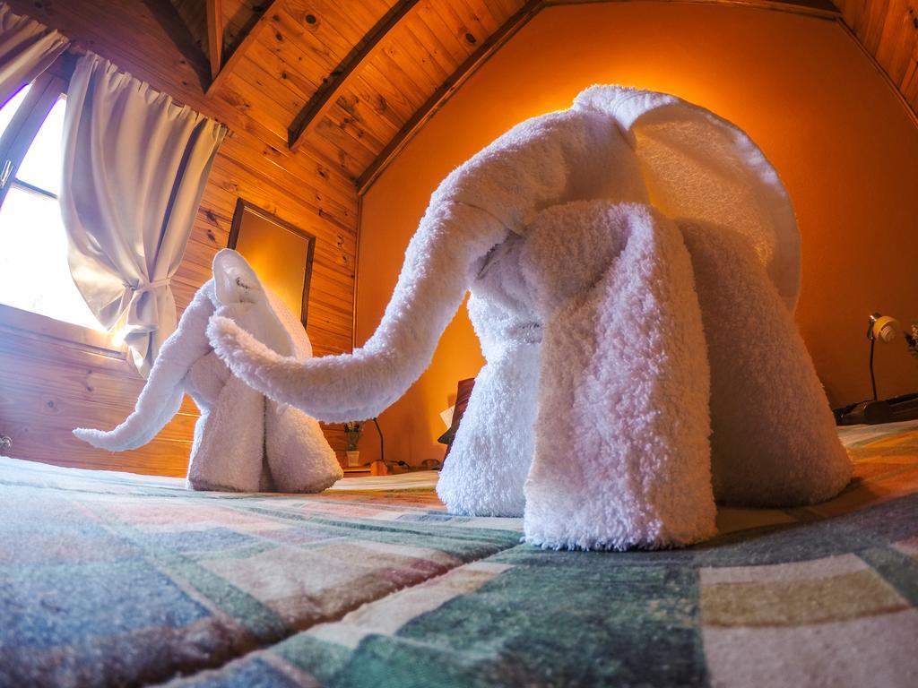 Cabanas De La Patagonia San Martín de los Andes Esterno foto